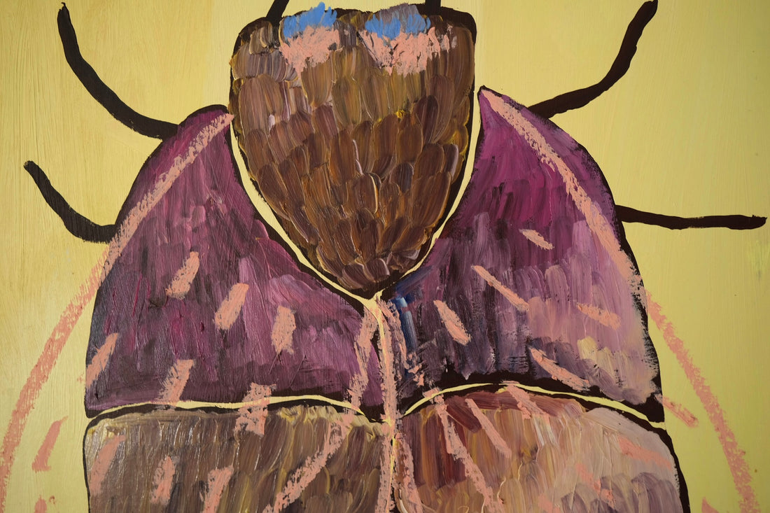 Originalillustration - Rosy Maple Moths