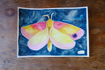 Originalillustration Crap Nap Paintings - Rosy Maple Moth
