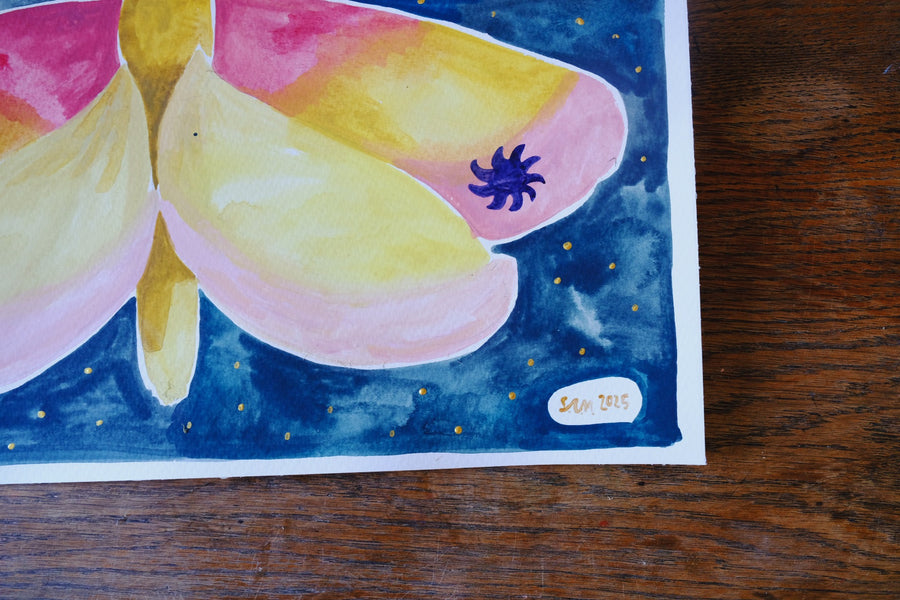 Originalillustration Crap Nap Paintings - Rosy Maple Moth