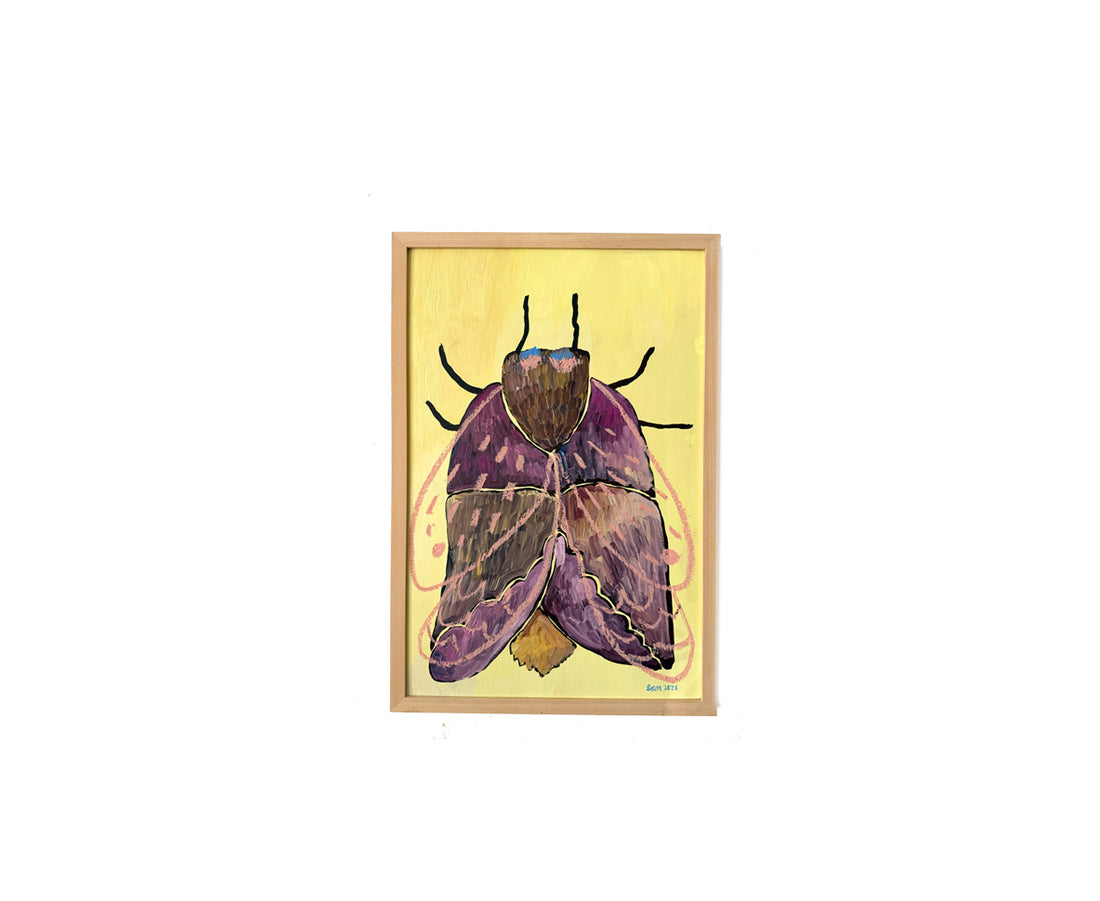 Originalillustration - Rosy Maple Moths